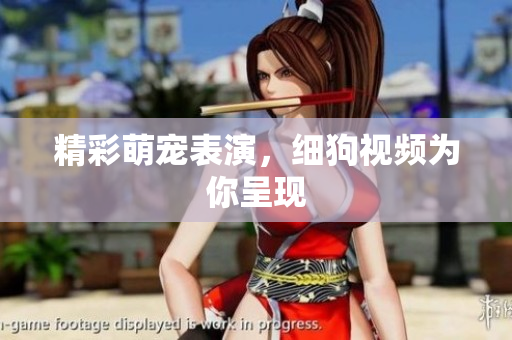精彩萌宠表演，细狗视频为你呈现