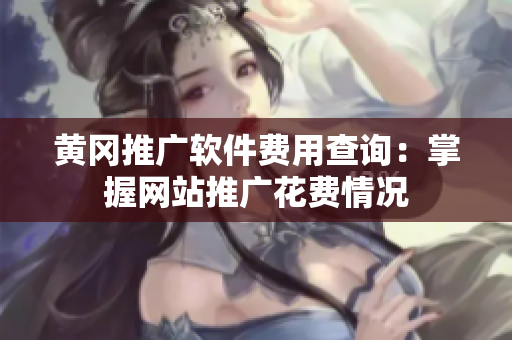 黄冈推广软件费用查询：掌握网站推广花费情况