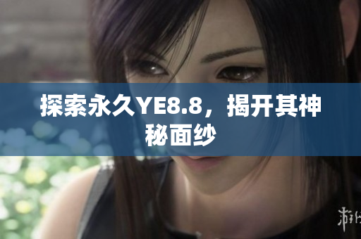 探索永久YE8.8，揭开其神秘面纱