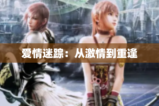 爱情迷踪：从激情到重逢