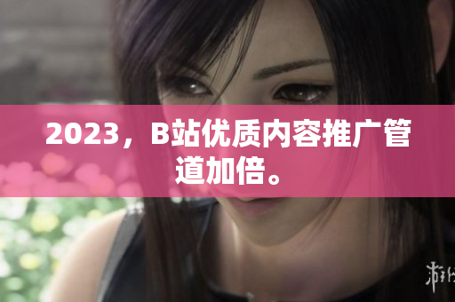 2023，B站优质内容推广管道加倍。
