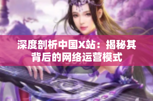 深度剖析中国X站：揭秘其背后的网络运营模式