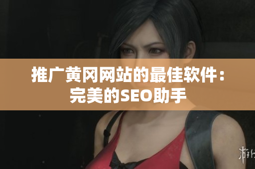 推广黄冈网站的最佳软件：完美的SEO助手