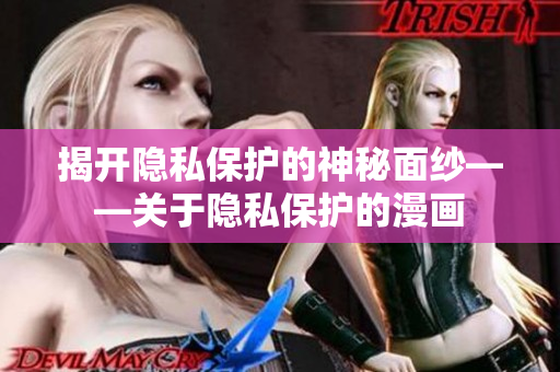 揭开隐私保护的神秘面纱——关于隐私保护的漫画