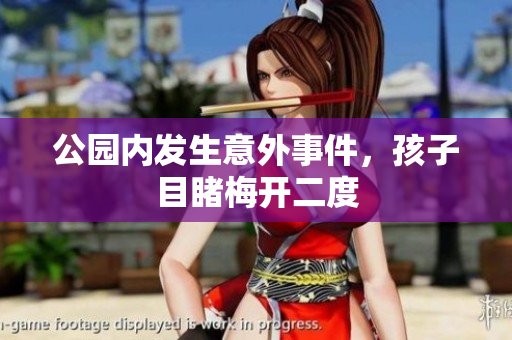 公园内发生意外事件，孩子目睹梅开二度