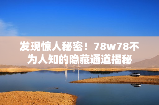 发现惊人秘密！78w78不为人知的隐藏通道揭秘