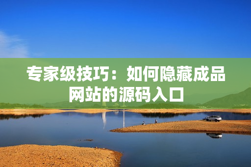 专家级技巧：如何隐藏成品网站的源码入口