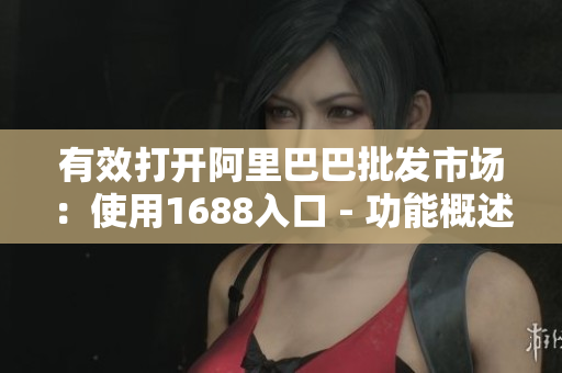 有效打开阿里巴巴批发市场：使用1688入口 - 功能概述