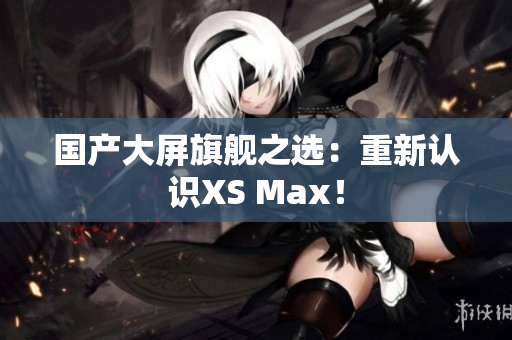 国产大屏旗舰之选：重新认识XS Max！