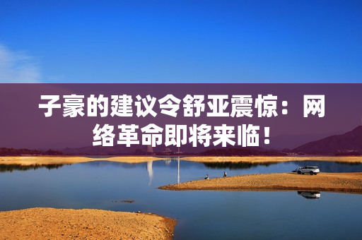 子豪的建议令舒亚震惊：网络革命即将来临！