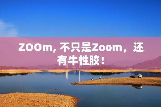 ZOOm, 不只是Zoom，还有牛性胶！