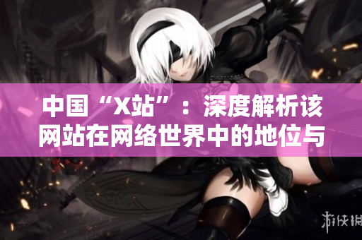 中国“X站”：深度解析该网站在网络世界中的地位与影响