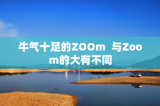 牛气十足的ZOOm  与Zoom的大有不同
