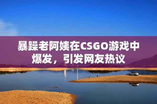暴躁老阿姨在CSGO游戏中爆发，引发网友热议