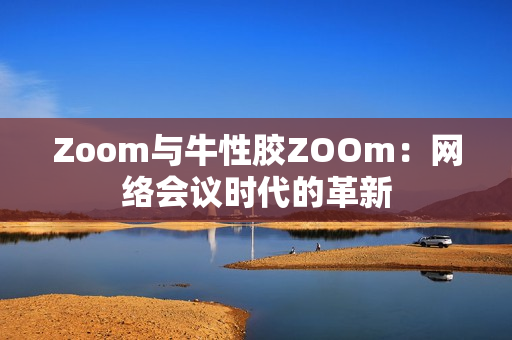 Zoom与牛性胶ZOOm：网络会议时代的革新