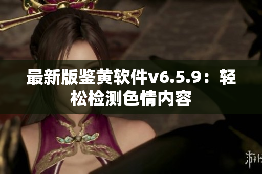 最新版鉴黄软件v6.5.9：轻松检测色情内容