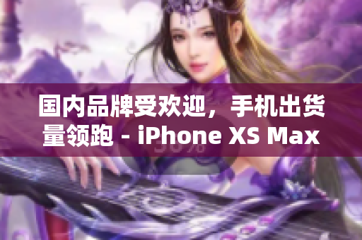 国内品牌受欢迎，手机出货量领跑 - iPhone XS Max