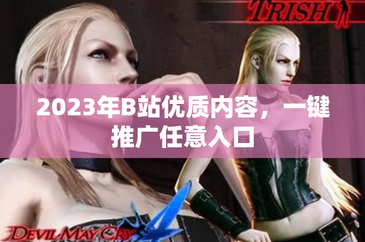 2023年B站优质内容，一键推广任意入口