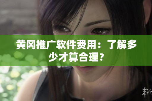 黄冈推广软件费用：了解多少才算合理？