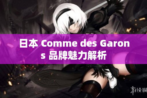 日本 Comme des Garons 品牌魅力解析