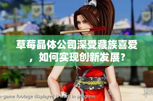 草莓晶体公司深受藏族喜爱，如何实现创新发展？