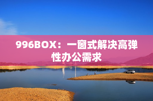 996BOX：一窗式解决高弹性办公需求
