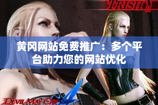 黄冈网站免费推广：多个平台助力您的网站优化