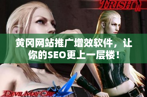 黄冈网站推广增效软件，让你的SEO更上一层楼！