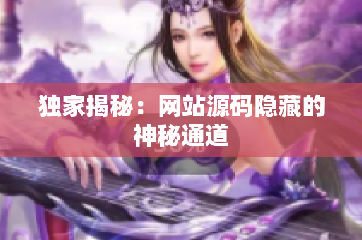 独家揭秘：网站源码隐藏的神秘通道