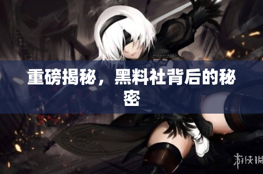 重磅揭秘，黑料社背后的秘密