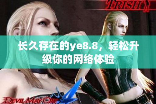 长久存在的ye8.8，轻松升级你的网络体验