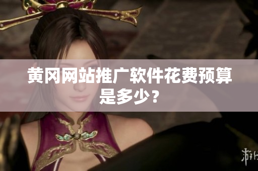 黄冈网站推广软件花费预算是多少？