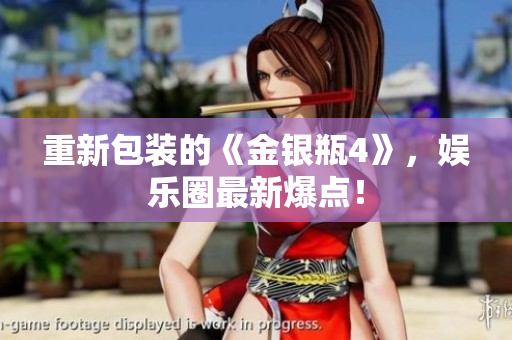 重新包装的《金银瓶4》，娱乐圈最新爆点！