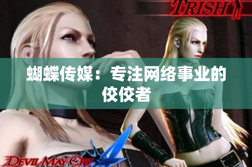 蝴蝶传媒：专注网络事业的佼佼者