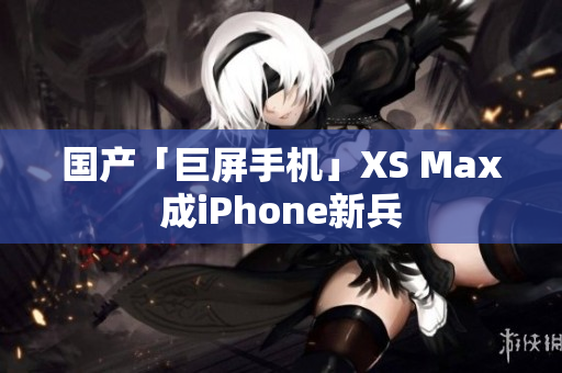 国产「巨屏手机」XS Max成iPhone新兵
