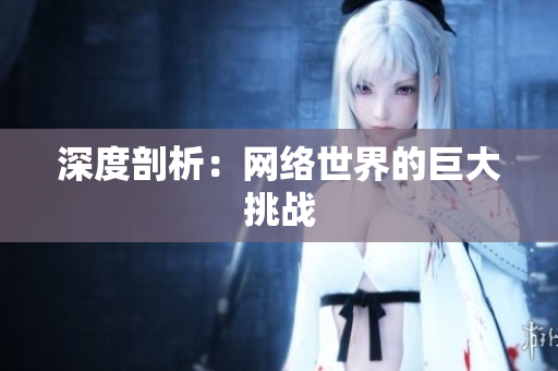 深度剖析：网络世界的巨大挑战