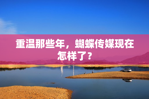 重温那些年，蝴蝶传媒现在怎样了？