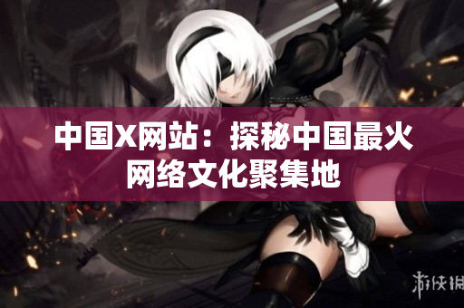 中国X网站：探秘中国最火网络文化聚集地