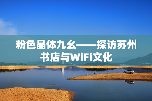 粉色晶体九幺——探访苏州书店与WiFi文化