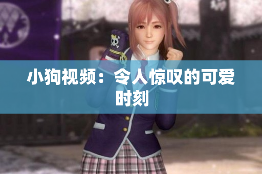 小狗视频：令人惊叹的可爱时刻