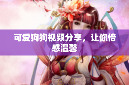 可爱狗狗视频分享，让你倍感温馨
