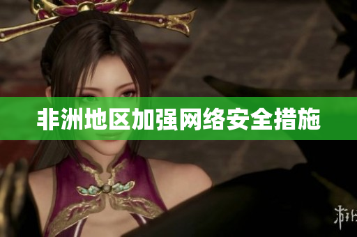 非洲地区加强网络安全措施