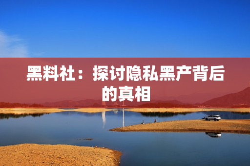 黑料社：探讨隐私黑产背后的真相