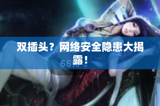 双插头？网络安全隐患大揭露！