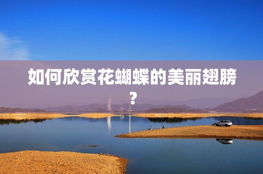 如何欣赏花蝴蝶的美丽翅膀？