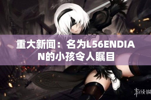 重大新闻：名为L56ENDIAN的小孩令人瞩目