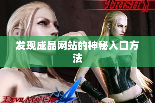 发现成品网站的神秘入口方法