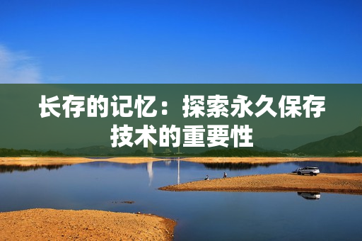 长存的记忆：探索永久保存技术的重要性