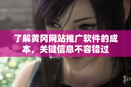 了解黄冈网站推广软件的成本，关键信息不容错过