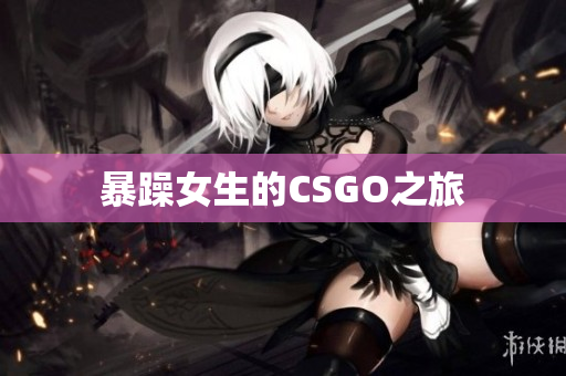 暴躁女生的CSGO之旅